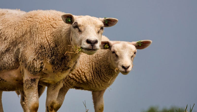 Windows Process Cloning — How to dump a process without dumping the process